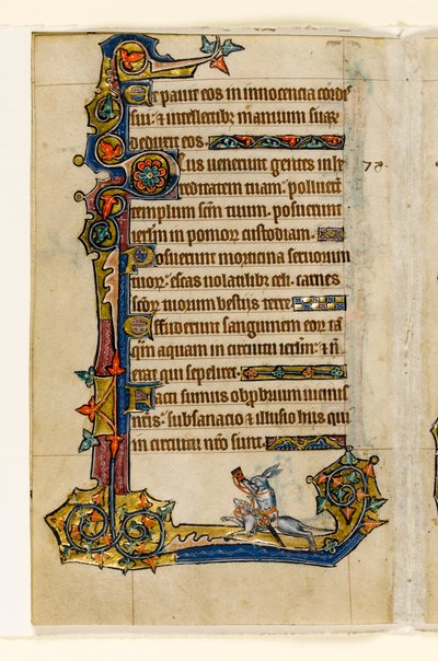 MS 1-2005，关注。 115v：一只兔子骑着猎犬，狩猎，边缘装饰来自Macclesfield Psalter，使用Sarum，东安格利亚，c.1330 作者 英语学校