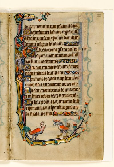 MS 1-2005，关注。 29r：两只鸟像怪诞，来自Macclesfield Psalter的边缘装饰，使用Sarum，East Anglia，c.1330 作者 英语学校