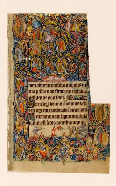 MS 1-2005，关注。 9r：Jesse和Beatus的最初边界与音乐家和怪诞的战斗，来自Macclesfield Psalter，使用Sarum，East Anglia，c.1330 作者 英语学校