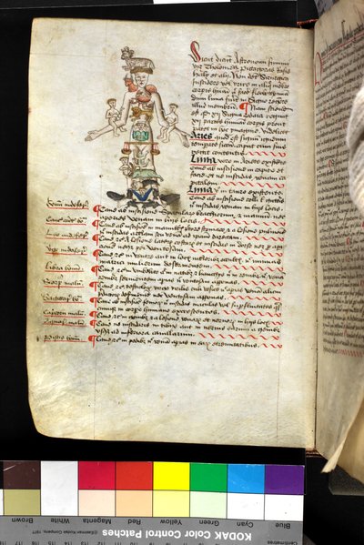 MS Hunter 251 f.47v, illustration of a 