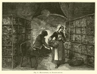 Magnanerie，或饲养室 作者 英语学校