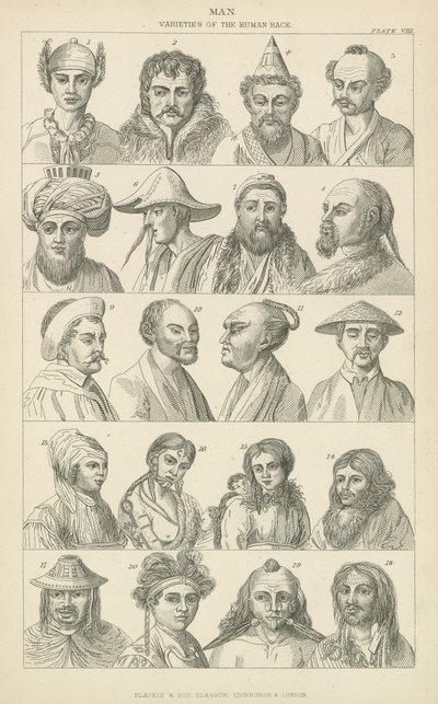 Man. Varieties of the human race (engraving) 作者 英语学校