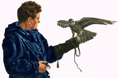 拿着bird的人 作者 英语学校