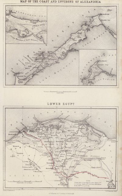 地图亚历山大海岸及周边地区地图；下埃及（彩色石印版） 作者 英语学校