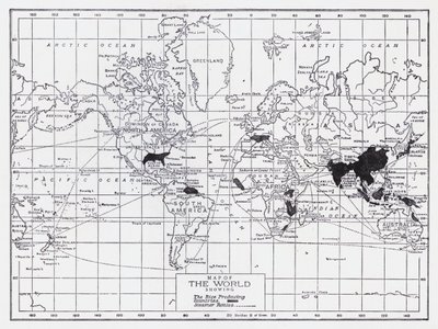 显示大米生产国的世界地图（平版） 作者 英语学校