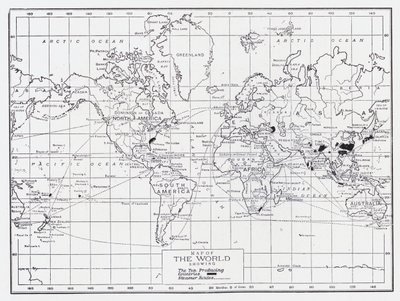 显示茶叶生产国的世界地图 作者 英语学校