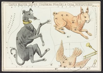 地图 C.44.A.42 大犬座天兔，选自 "乌拉尼亚之镜；或，天象图。[一盒 32 张]"，作者 Jehoshaphat Aspin 作者 英语学校