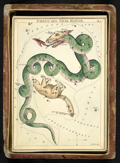 地图 C.44.A.42 天龙座和小熊座，选自 "乌拉尼娅之镜；或，天象图。[一盒 32 张]"，作者 Jehoshaphat Aspin 作者 英语学校