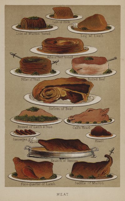 肉 作者 英语学校