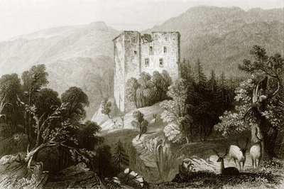 Merkenstein 作者 英语学校
