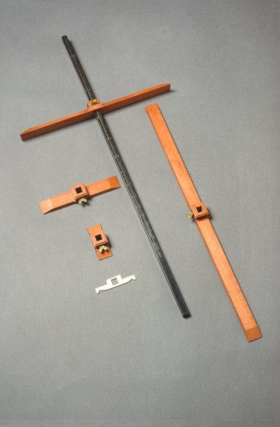 Harriet Wynter Ltd.（象牙和木头）的现代复制品 作者 English School