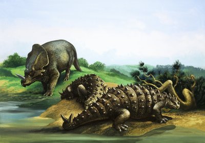 Monoclonius和Scolosaurus 作者 英语学校
