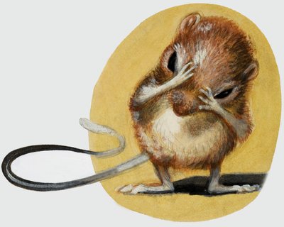老鼠 作者 英语学校