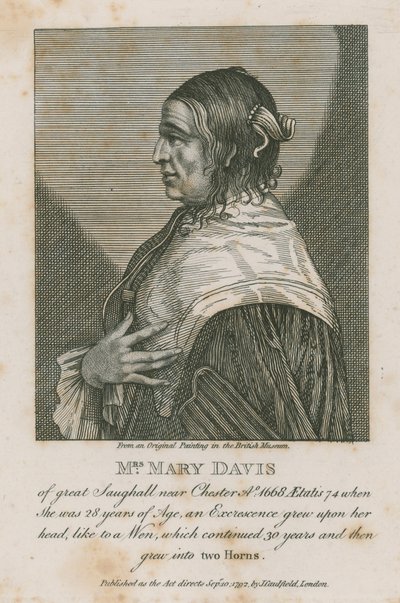 1668年，切斯特附近伟大的索格霍尔夫人玛丽戴维斯夫人 作者 英语学校