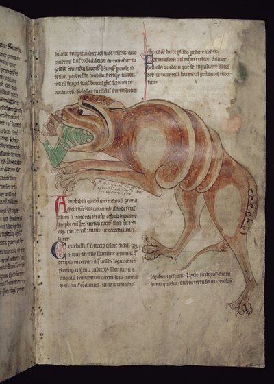 Ms.254 f.24 r Cocodrillus吞咽一个男人 作者 英语学校