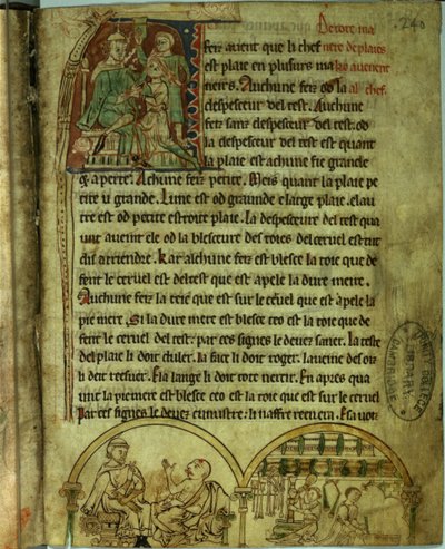 Ms.O.1.20.f.241v 杰罗姆：一位看病的医生和一位药剂师，选自《De Nominibus Herbraicis》（牛皮纸） 作者 英语学校