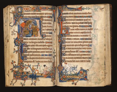 1-2005号女士，ff.182v-183r：大卫祈祷，从Macclesfield Psalter起初的历史，使用Sarum，East Anglia，c.1330 作者 英语学校