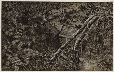 穆格雷夫森林，惠特比附近（平版） 作者 英语学校