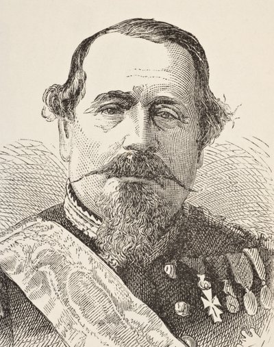拿破仑三世来自威廉希克曼史密斯奥布里（1858-1916）的“英国国内和国内历史”，1890年出版伦敦，1890年 作者 英语学校