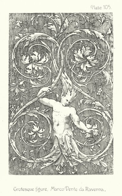 装饰中的自然：怪诞人物，Marco Dente da Ravenna（石版画） 作者 英语学校