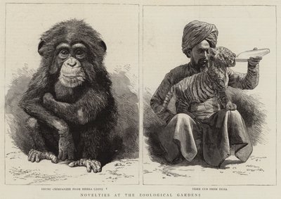 动物园的新奇事物（版画） 作者 英语学校