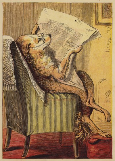 Old Mother Hubbard (coloured engraving) 作者 英语学校