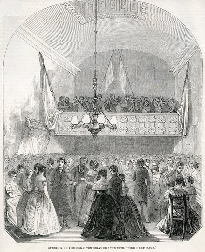 1845年开设科克节制研究所 作者 英语学校