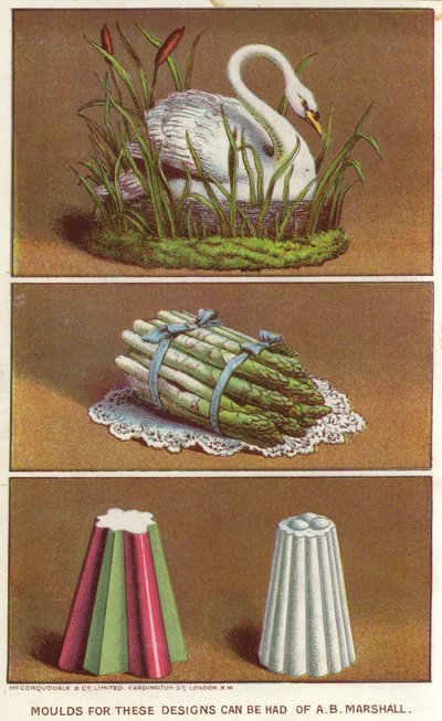 用于制作天鹅和芦笋束形状的冰镇食品的装饰模具（chromolitho）。 作者 英语学校