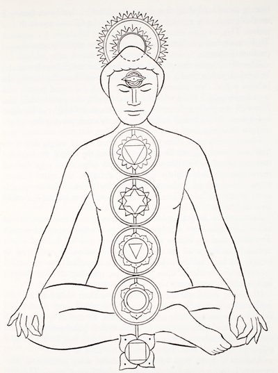 Padmasana或莲花的位置 作者 英语学校