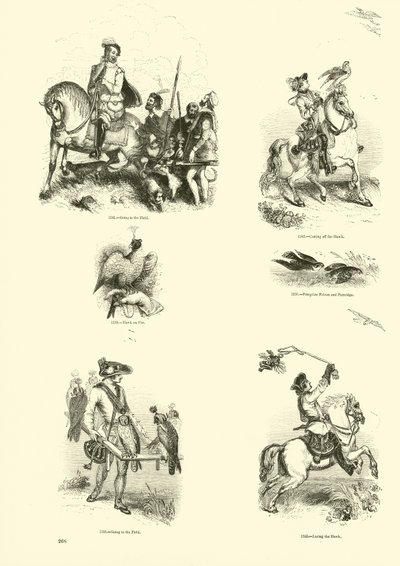来自动画自然画报博物馆的页面 作者 英语学校