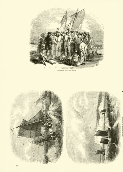 来自动画自然画报博物馆的页面 作者 English School