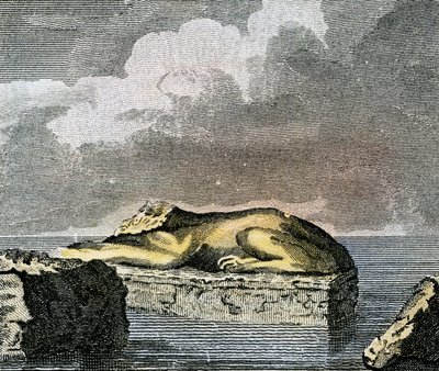 在卡诺普斯古城遗址中发现的埃及狮身人面像的一部分 作者 英语学校