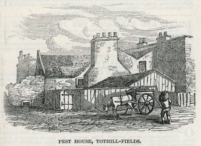 害虫之家，Tothill Fields 作者 英语学校