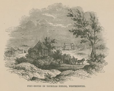 Tothill Fields的害虫之家 作者 英语学校