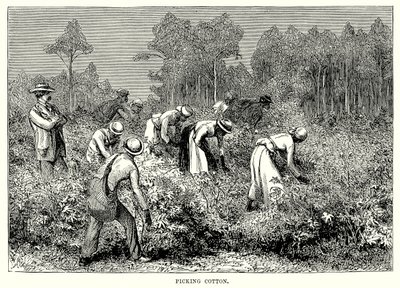 采摘棉花（雕刻） 作者 英语学校