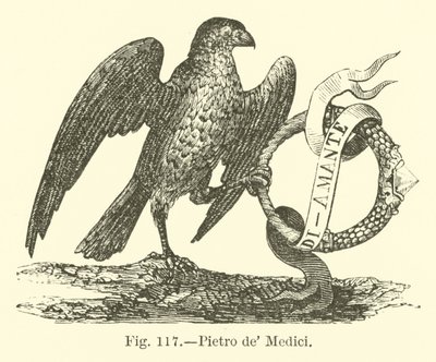 Pietro de Medici 作者 英语学校