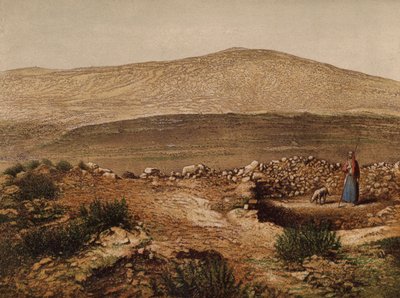 圣经中提到的地方雅各布井（chromolitho） 作者 英语学校