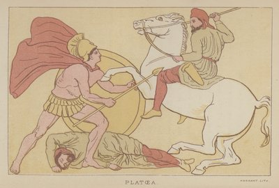 Platoea （彩色平版） 作者 英语学校