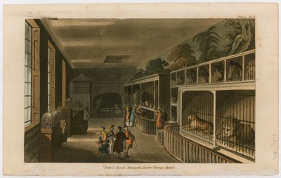 Politos Royal Menagerie，Exeter Change，Strand 作者 英语学校