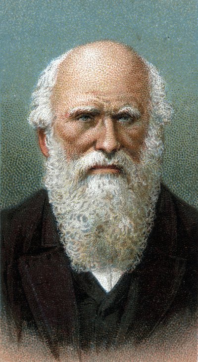 查尔斯-罗伯特-达尔文(1809-1882)的肖像 - 来自 "人类领袖 "系列 - 色版画 - 英国学校，20世纪 作者 英语学校