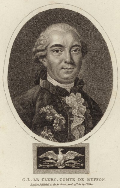 布冯伯爵Georges-Louis Leclerc的肖像 作者 英语学校