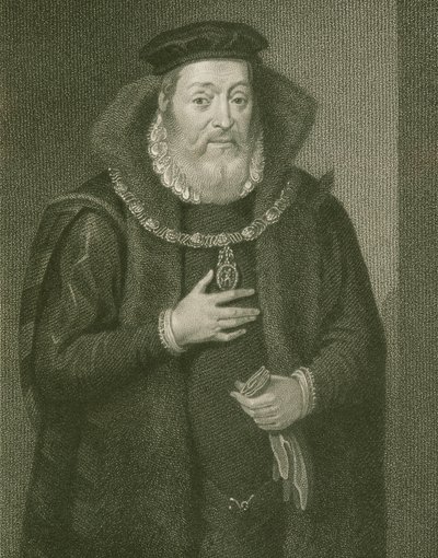 詹姆斯汉密尔顿（1517-1575）阿伦第二伯爵的肖像，来自&39;洛奇的英国肖像&39;，1823年 作者 英语学校