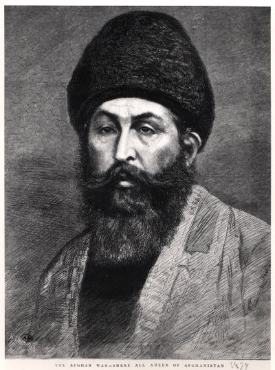 Shir Ali Khan的肖像（1825-79）阿富汗的埃米尔，1878年 作者 英语学校
