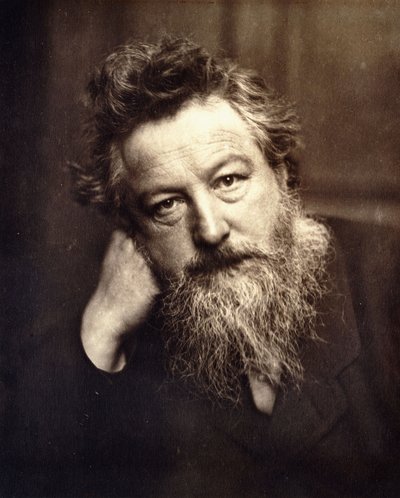 威廉·莫里斯的肖像，1886年 作者 英语学校