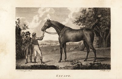 著名的纯种赛马Escape与骑师和训练师的画像 作者 英语学校