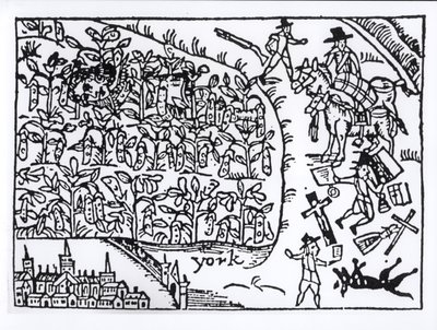 鲁珀特王子（1619-82）于1644年7月2日在Marston Moor战役中躲藏在豆田中 作者 英语学校