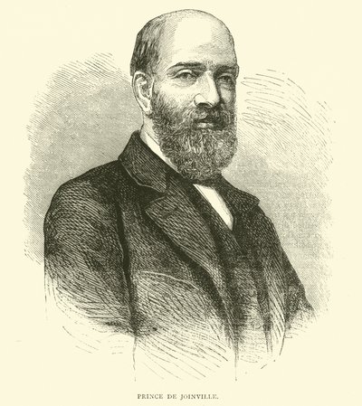 Prince de Joinville，1871年2月 作者 英语学校