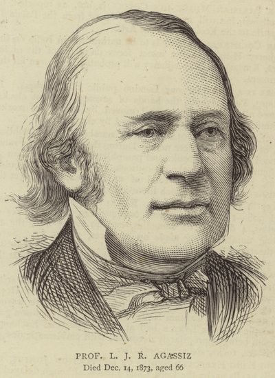 Professor L J R Agassiz (engraving) 作者 英语学校