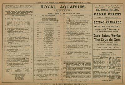 皇家水族馆的活动计划 作者 英语学校