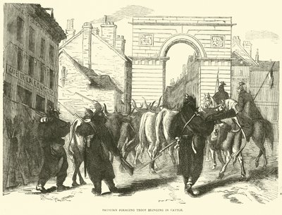 1870年10月普鲁士觅食部队引进牛群 作者 英语学校